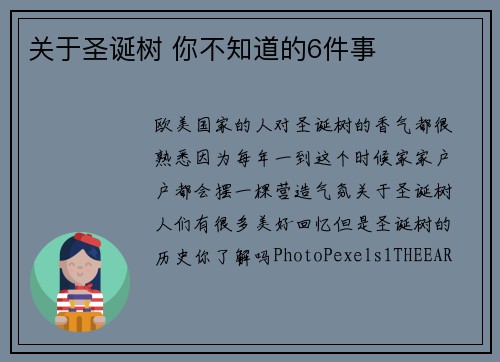 关于圣诞树 你不知道的6件事