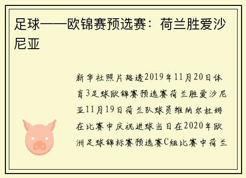 足球——欧锦赛预选赛：荷兰胜爱沙尼亚